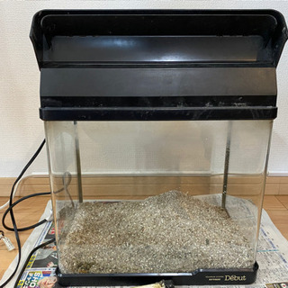 30センチ　水槽　