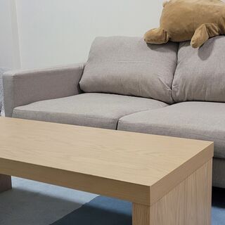 2人掛けソファ（イオン）＋ソファテーブル（ニトリ）