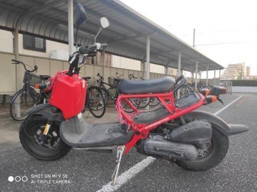 ズーマー ZOOMER 不動（商談中）