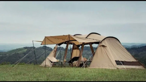 アルニカ　サンドストーン