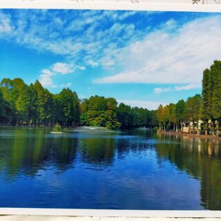 EPSON EP-901A　古い機種ですが高機能でWiFi対応ですの画像