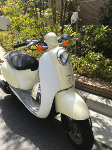 原付  HONDA  スクーピー
