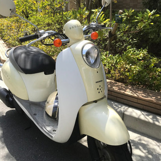 原付  HONDA  スクーピー