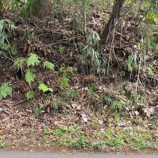 神奈川県秦野市西田原＃49不動産0円物件 − 神奈川県
