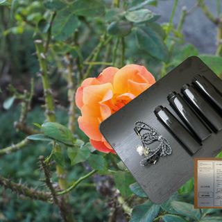 電気コタツ譲ります。の画像