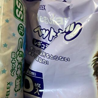 無償で犬猫用おむつペットシーツお譲りしますの画像