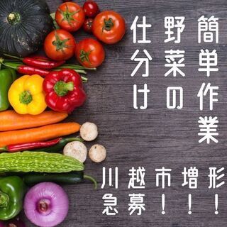川越急募【地元で働こう！】青果のピッキング軽作業＜車通勤・自転車...