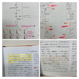 【0005】獣医生化学の画像