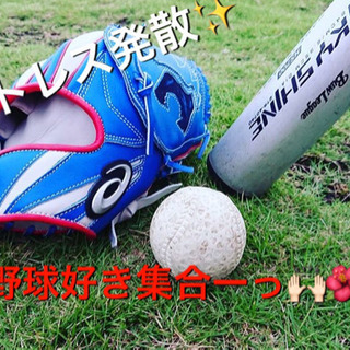 青春をもう一度🏝✨野球でスッキリ⚾️🙌