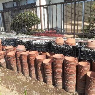 盆栽用植木鉢差し上げます。の画像