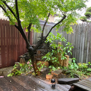 カフェ・バーの店長(バリスタorバーテン)やってみたい方募集　求む！やる気のある店長候補✨✨の画像