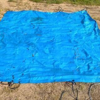 ブルーシート2.5m×2.5m