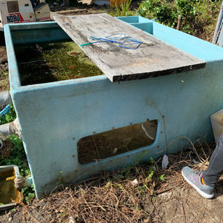 いけす　あげます　（一時停止）