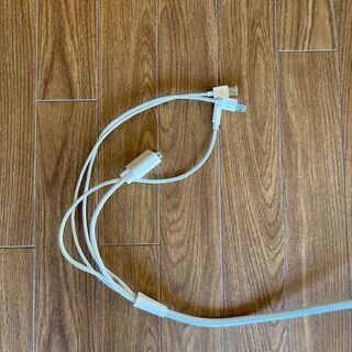Apple A1081 液晶モニターの画像