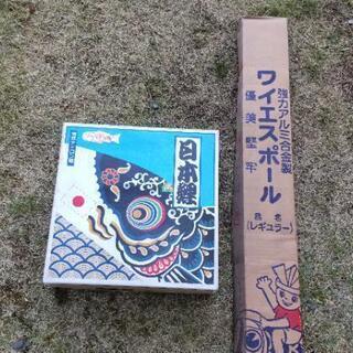 鯉のぼり