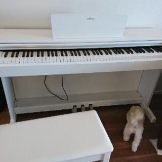 ピアノ ヤマハ の画像