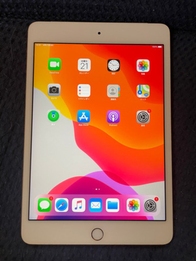 iPad mini4