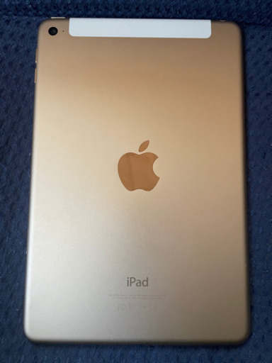 iPad mini4