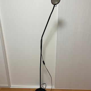 スタンドライト