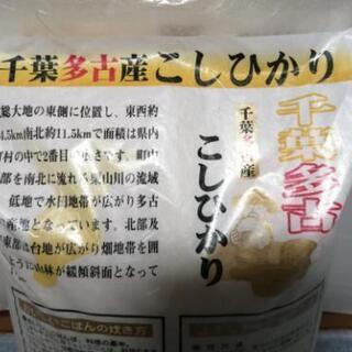 千葉多古産こしひかり10キロの画像