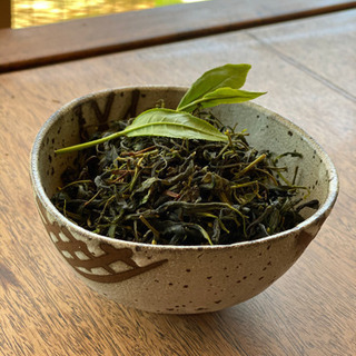 新茶手作りお茶体験教室！お茶の葉を摘んで高級手もみ茶作り！　（茶...