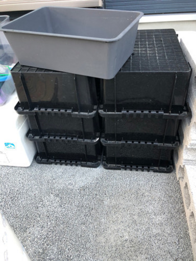 メダカ飼育セット