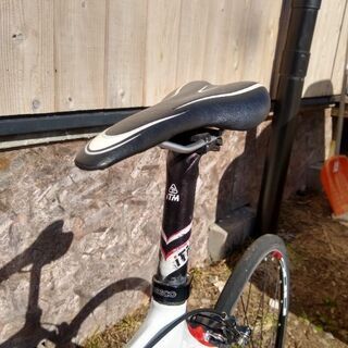 CP Ceepo Mambaの画像