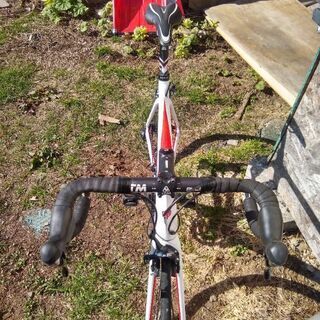 CP Ceepo Mambaの画像