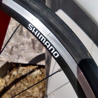 CP Ceepo Mambaの画像