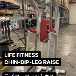 ☆プロ仕様のトレーニングマシン☆ LIFE FITNESS CHIN-DIP-LEG RAISE