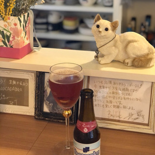 京王線中河原駅Barで飲める方