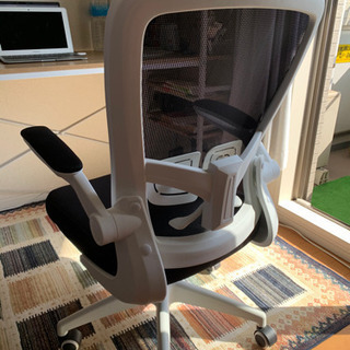 【0円】イス差し上げますの画像
