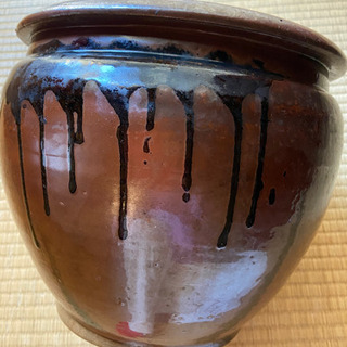 睡蓮鉢　（小）