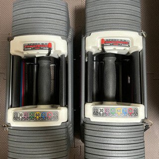 パワーブロック正規品 90ポンド(約41kg)×2 可変式ダンベル