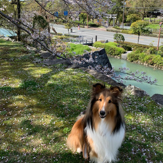 友達が欲しいです✩