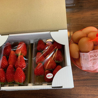 無料　採れたて苺と玉子セットで！