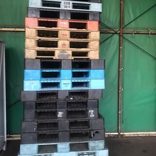 【短期募集】プラパレットあげます！！ 