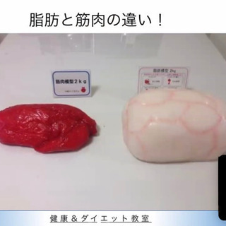 ダイエット、筋肉をつけたい方のサポートをします！ - 友達