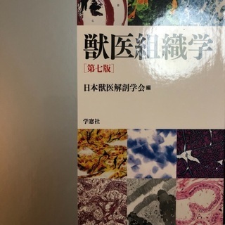 獣医組織学 第7版 日本獣医解剖学会 獣医組織学 第7版 日本獣医解剖学会 獣医組織学 | 日本獣医