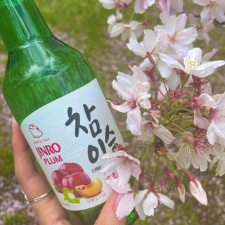 🌸みんなでフォトピクニック🌸カメラ趣味の人集まれ〜📷💓