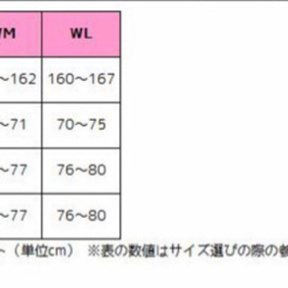 RSタイチ WPカーゴオーバーパンツ RSY549 サイズWMの画像