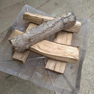 【在庫19kg】音も楽しめる！広葉樹クリの薪。長さ29cm。含水...