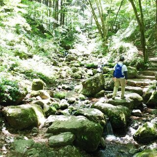 【 ゆるゆるハイク 】に行きませんか😊