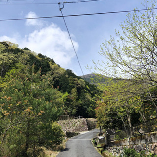 大津市北小松　約6000坪　山林