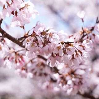 お話しするのが好きな人