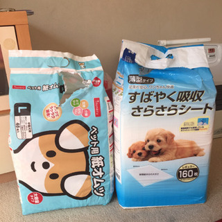 訳あり ペット用オムツ、おしっこシートセットで