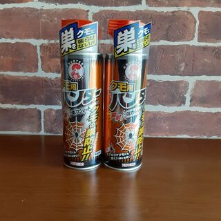 金鳥殺虫剤【クモ用ハンター】ジェット噴射スプレー４５０ｍｌｘ 2本