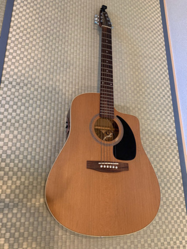 状態良‼︎Seagull シーガル　カナディアンギター　ケース付き