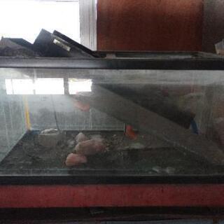 90cm　x45cm x45cm　大型　水槽