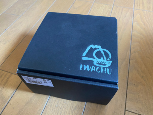 【新品】岩鋳(Iwachu)鉄瓶 兼用急須 5型新アラレ 南部鉄器 IH対応